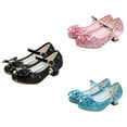 thumbnail image 5 of Girls Flats Sparkle Party Mary Jane Princess Dress Shoes Wedding Party Flower Shoes (Toddler/Little Kid/Big Kid), 5 of 5