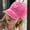Hot Pink, variant on Affordable Family Pick Women’s Heart-Embroidered Baseball Cap – Adjustable Fashion Hat for Outdoor Activities