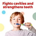 thumbnail image 5 of Colgate Kids Llama Maximum Cavity Protection Mild Bubble Fruit Toothpaste 4.4 Ounces Enamel Safe Gluten-Free Clinically Proven to Fight Cavities and Keep Fresh Breath Ages 2 and Up, 5 of 6