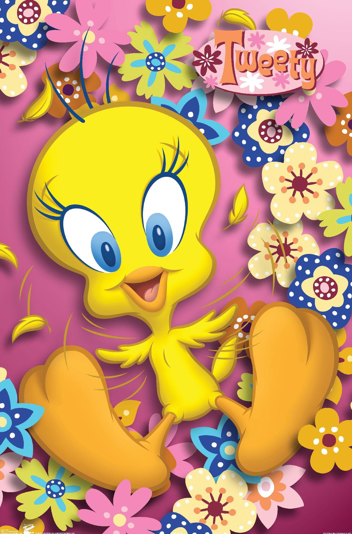 Looney Tunes - Tweety Bird - Power Wall Poster, 14.725