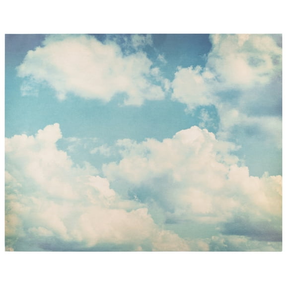 Poster Shop Posterboard - Twelve 22"X28"-Clouds