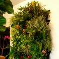 thumbnail image 4 of POINTERTECK Vertical Wall Hanging Garden Plant Growing Bags Planter Pockets Planting Container, 4 of 10