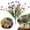 A, variant on KUMHONW 1 Bundle Artificial Flowers Outdoors,Fake Flowers Faux Plastic Plants Spring Summer Decoration for Home Garden Porch,Simulation Forget Me Not Simulation Flower Sunset Red