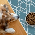 thumbnail image 2 of SussexHome Pets Ultra-Thin Cat and Dog Litter Mat for Litter Box - Washable Soft Natural Cotton Cat and Dog Litter Trapping Mat - Paws-Kind Slip Resistant Litter Catching Mat, 2 of 7