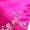 Hot Pink, variant on LYHaoo Girls Chinese Dress Qipao Baby Girls New Year Clothing Floral Short Sleeve Cheongsam Kids Birthday Party Outfits,Girls A Line Dresses Sizes 3-4 Years Red