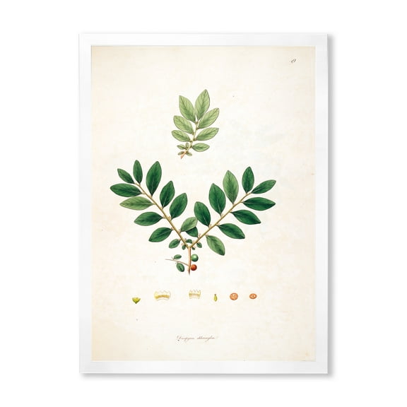 Designart 'Ancient Plant Life XIV' Farmhouse Framed Art Print