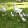 thumbnail image 4 of Long Lasting Decorative Duck Fountain - Simulated Duck Statue for Yard - Anti-fade Landscaping Ornament, 4 of 8