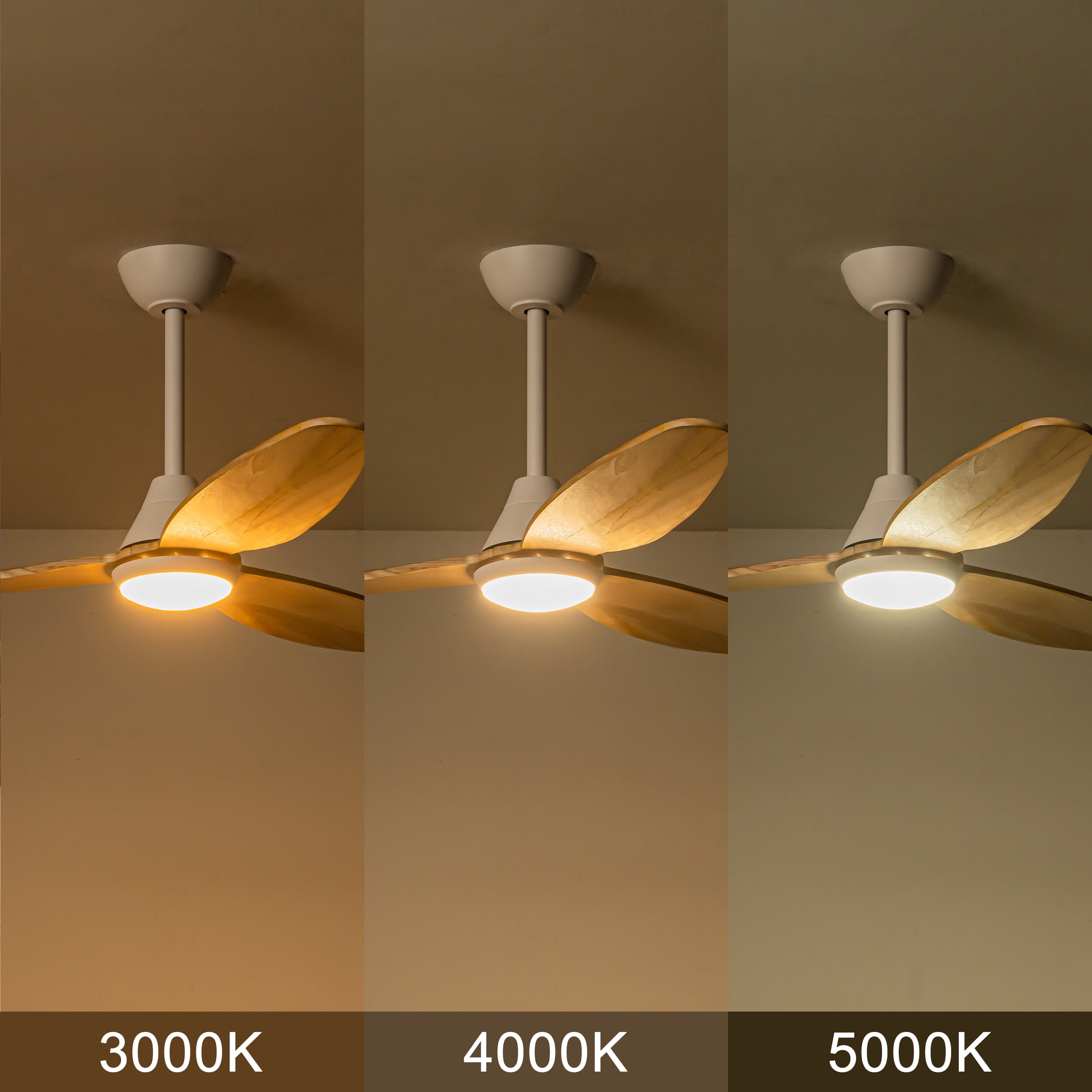 C Cattleya 48 in. 3-Blades Integrated LED White Wood Ceiling Fan with Light and Remote Control