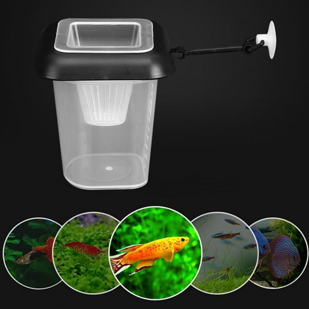 Aquarium Funnel Feeder, Edge Transparent Fish Funnel Feeder, Aquarium