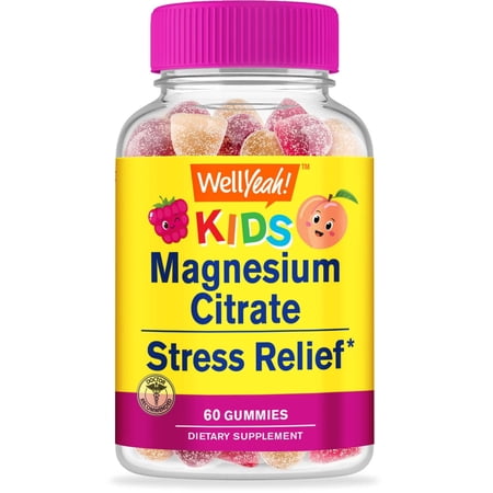 WellYeah Magnesium Citrate Gummies for Kids - Chewable Stress Relief Supplement for Children - Natural Calm  Mood Support  Non-GMO  Gluten Free - Natural Fruit Flavors - 60 Gummies