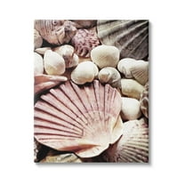 Stupell Stacked Coastal Seashells Landscape Photography Gallery Wrapped Canvas Print Wall Art