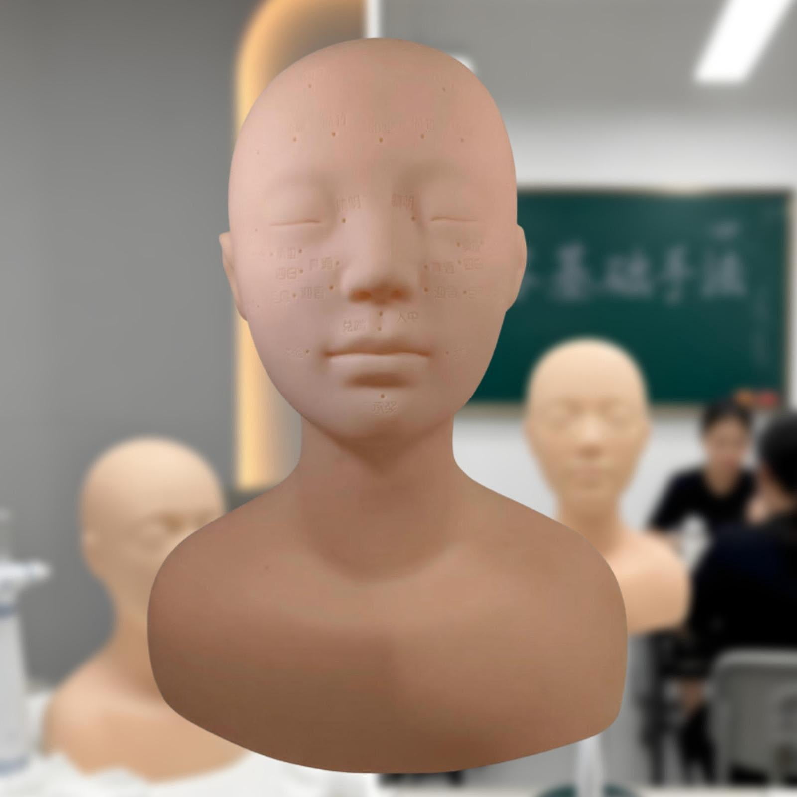 EHJRE Training Mannequin Head Cosmetology Practice Model Doll Spa Massage Soft Silicone Face For Eyelash Extension Learning Suitable for beauty training gift giving skincare practice home Normal