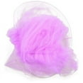thumbnail image 3 of Elegant Lace Mosquito Netting Mesh Princess Round Dome Bedding Net, 3 of 3