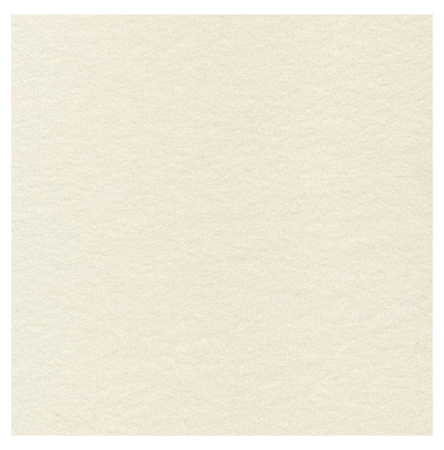 108" Wide 100% Cotton Flannel BTY (Natural)