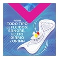 thumbnail image 3 of Protectores diarios Saba protección-v largo 40 pzas, 3 of 6