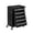 black, variant on Heavy Duty 5-Drawer Rolling Tool Chest Cabinet with Lock, Liners & Mobile Storage for Garage 24.2*13.78*34 inch Blue