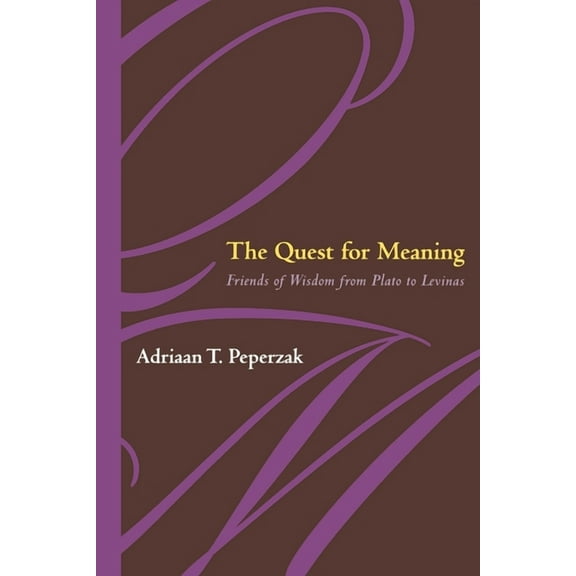The Quest for Meaning (Hardcover)