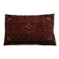 thumbnail image 1 of Ahgly Company Outdoor Rectangular Traditional Lumbar Throw Pillow, 13 inch by 19 inch, 1 of 5