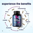 thumbnail image 5 of Brain Memory Supplement Pills - 3X Strength Nootropics for Concentration, Clarity & Focus Support - Brain Health Cognitive Vitamins with Bacopa, Phosphatidylserine & DMAE, Brain Booster, 180 Capsules, 5 of 9