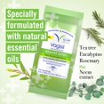 thumbnail image 2 of Toallitas Vagisil Healthy Detox con aceites esenciales, 20 unidades, 2 of 5