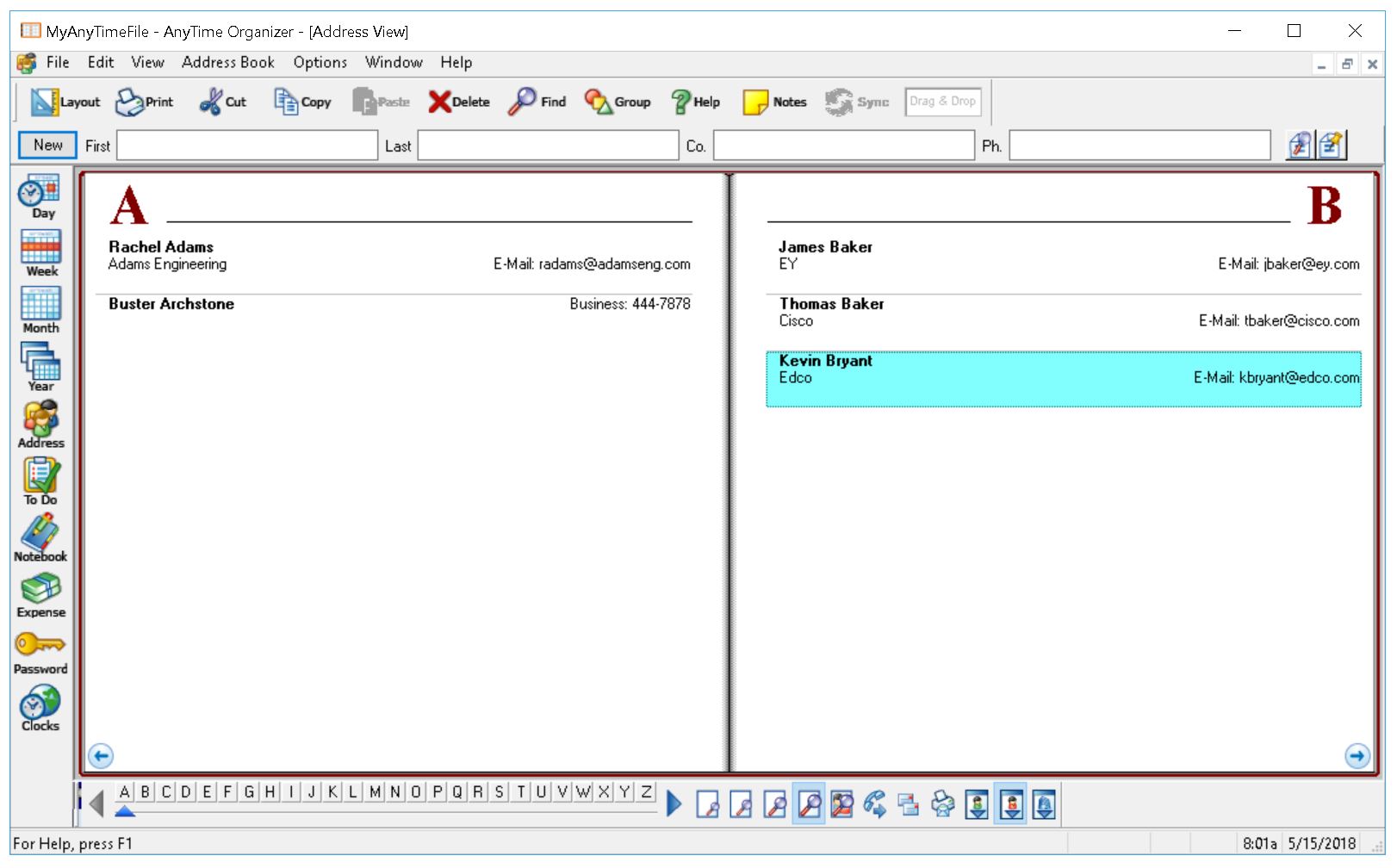 Individual AnyTime Organizer Standard 16 (Email Delivery)
