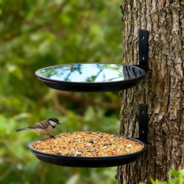 2 comederos para pájaros montados en árboles, bandejas de agua resistentes a intemperie, bebederos para pájaros para terraza, patio, valla y