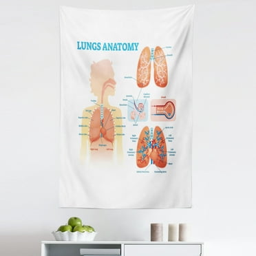 Anatomy Tapestry, Lungs Structure Bronchi Parts Biology Plain Background, Fabric Wall Hanging Decor for Bedroom Living Room Dorm, 5 Sizes, Pale Peach Pale Blue, by Ambesonne