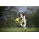 thumbnail image 2 of Pechera Perro Arnés Para Perro Idc Long Walk Julius K9 XL Julius Arnés, 2 of 7