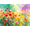 Flower-C, variant on Watercolor Poppy Flower Tapestry, Vibrant Floral Wall Hanging for Bedroom, Living Room, 40x30in