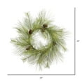 thumbnail image 2 of Vickerman D180224 24 in. Hugo Pine Wreath, 2 of 2