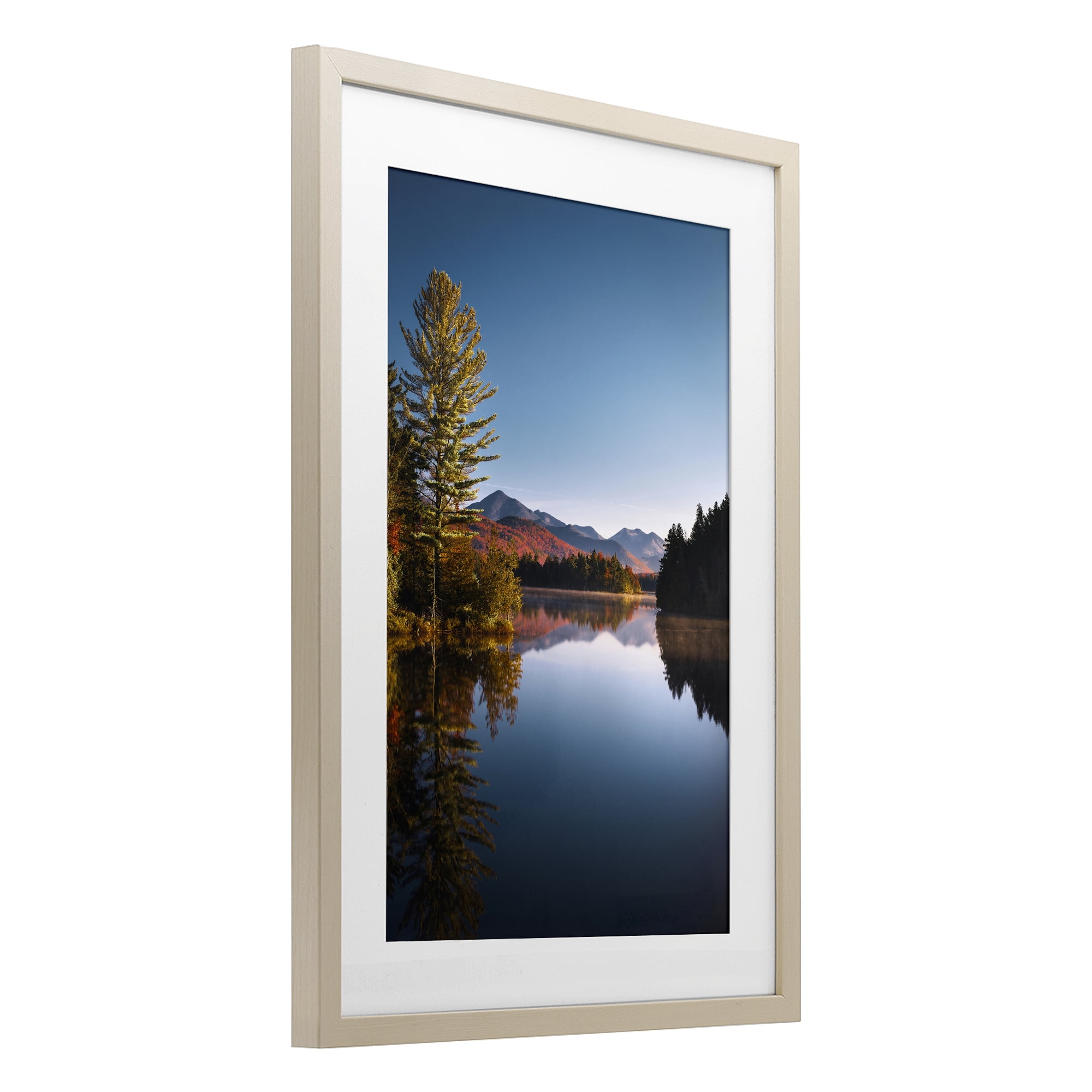 Stupell Industries Autumn Morning Wilderness Birch Framed Print Under Glass, design by Jonathan Zaharek