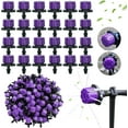 thumbnail image 1 of 200Pcs 1/4 Pouce Réglable micro Goutte à Goutte Système d'Irrigation Tête d'Arrosage (Violet), Dispositif Anti-Obstruction Émetteur Goutte à Goutte, Fournitures de Jardin Rouge, 1 of 5