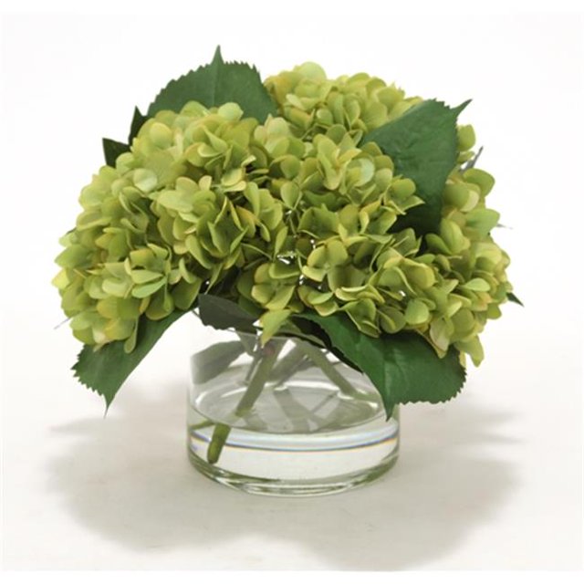 Distinctive Designs International 16217 Green Hydrangeas- Laurel Leaves in Glass Cylinder