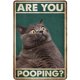 thumbnail image 1 of Placa Metal Vintage Pintura Hierro Rectangular Gato Arte Pared Bar para El 20x30cm, 1 of 9