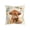 02_Highland Cow -17 B, variant on Throw Pillow Cover 18x18 Inch Cute Patterns Print Soft Breathable Hidden Zipper Decorative for Sofa Living Room by MPOISVA