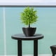 thumbnail image 5 of Simulated Leaf Field Garden Garden Garden Garden Bonsai Decoration Simulation Flower Garden Decoration, 5 of 9