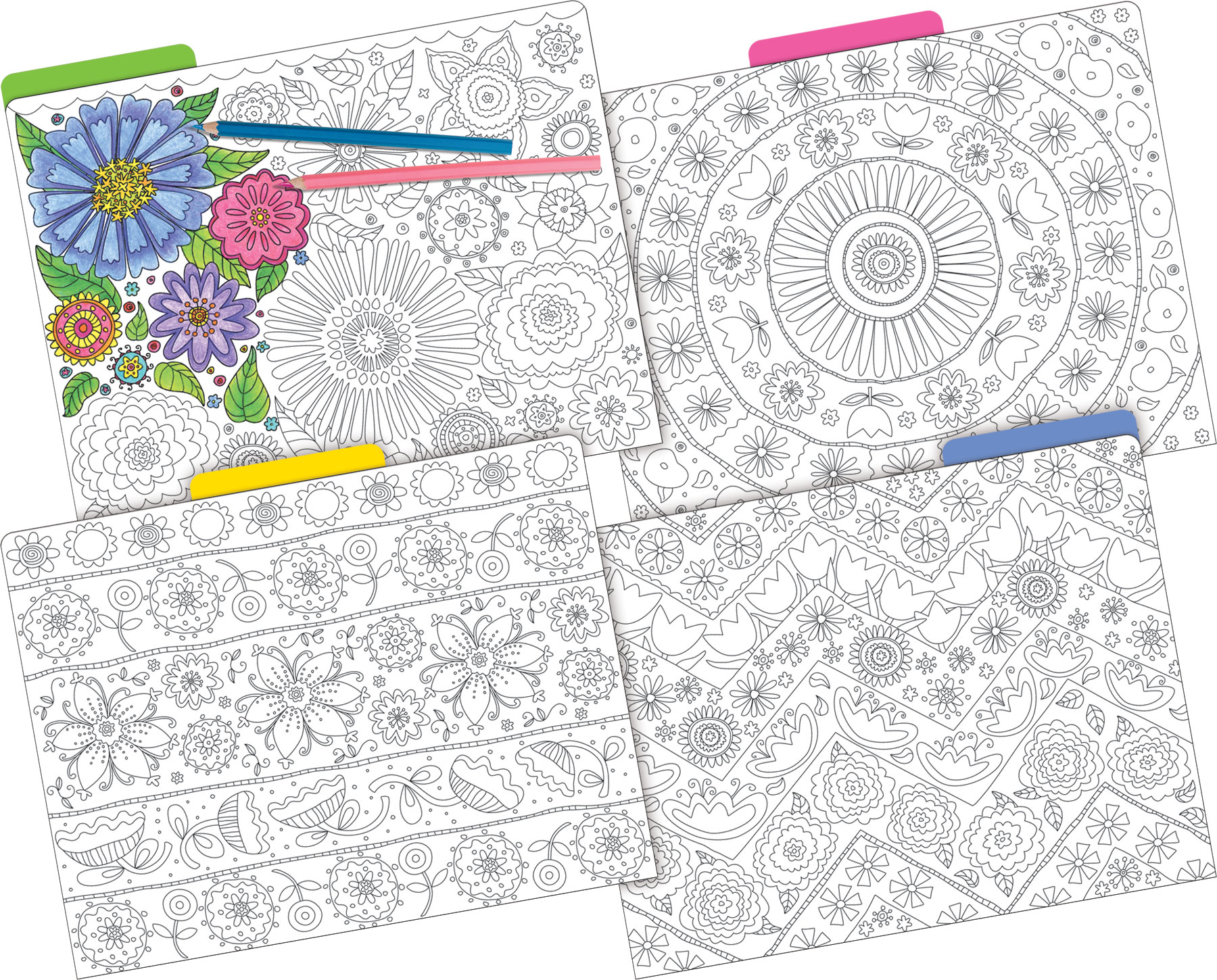 Barker Creek Decorate My Classroom - Color Me! In My Garden