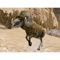 thumbnail image 3 of Cabela's Legendary Adventures, 3 of 7