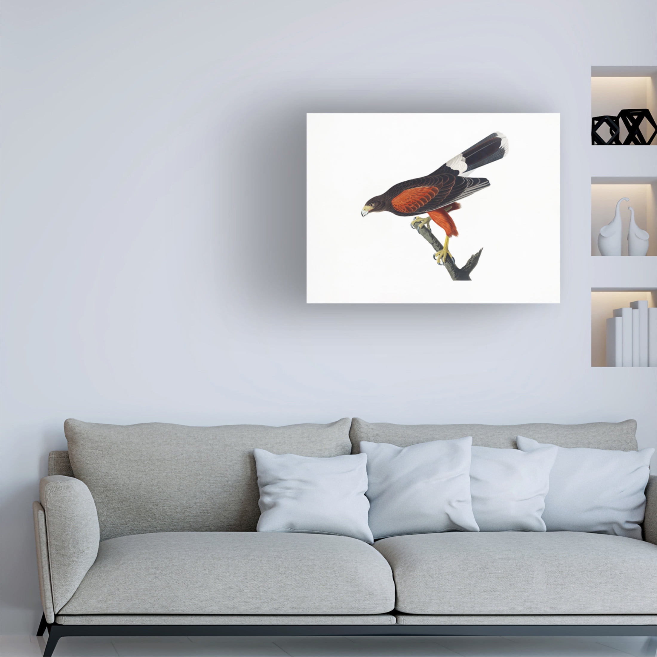 Trademark Fine Art Pictufy Louisiana Hawk From Birds of America 1827 Canvas Wall Art