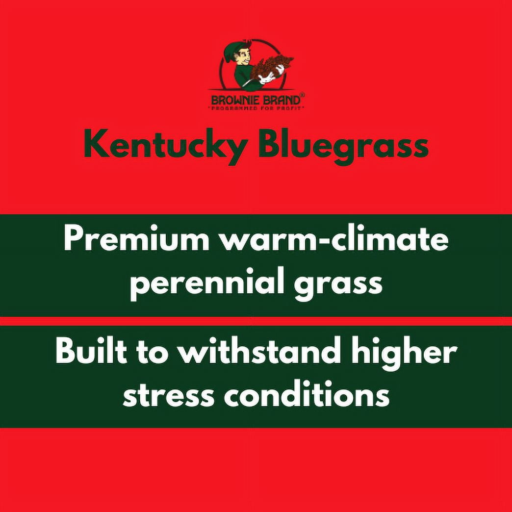 Brownie Brand Seed Kentucky Bluegrass Blue Devil, 5 lbs. Plant Seeds for Sports Fields, Home Lawns. Perennial.
