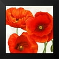 thumbnail image 2 of Villa, Luca 20x20 Black Modern Framed Museum Art Print Titled - Poppies I, 2 of 5