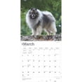 thumbnail image 3 of Keeshonden | 2025 12x24" (Hanging) Square Wall Calendar | BrownTrout, 3 of 9