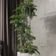 thumbnail image 4 of Garden Tower Trellis Andamio para plantas a prueba de herrumbre para plantas trepadoras (A H145cm), 4 of 8