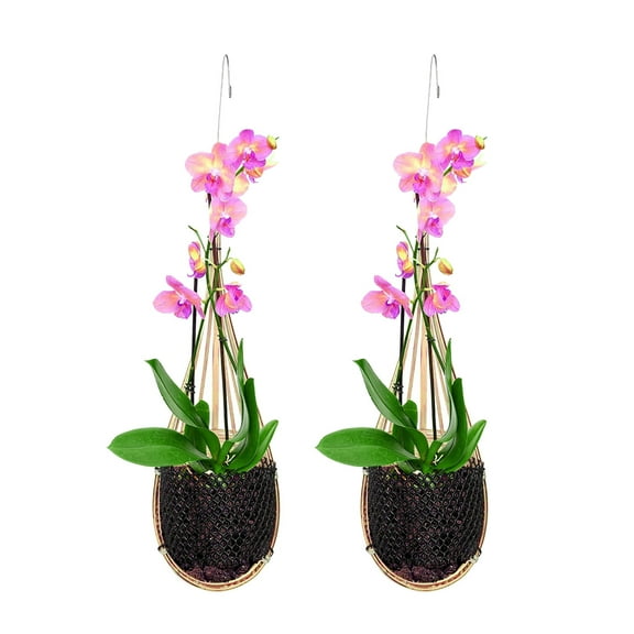 2 Pack Orchid Hanging Basket 5 Inch Bamboo Woven Hanging Orchid Planter Pot with Metal Plant Hanger for Indoor Outdoor Patio Garden Flower Planter, Bird Nest Style