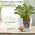 thumbnail image 3 of Remiawy Self Watering Plant Pots with Drainage Hole, 8/7/6.5/6/5.5/5 Inch Self Watering Planters for Indoor Outdoor Plants , White Plastic Flower Pots 6 Packs, 3 of 8