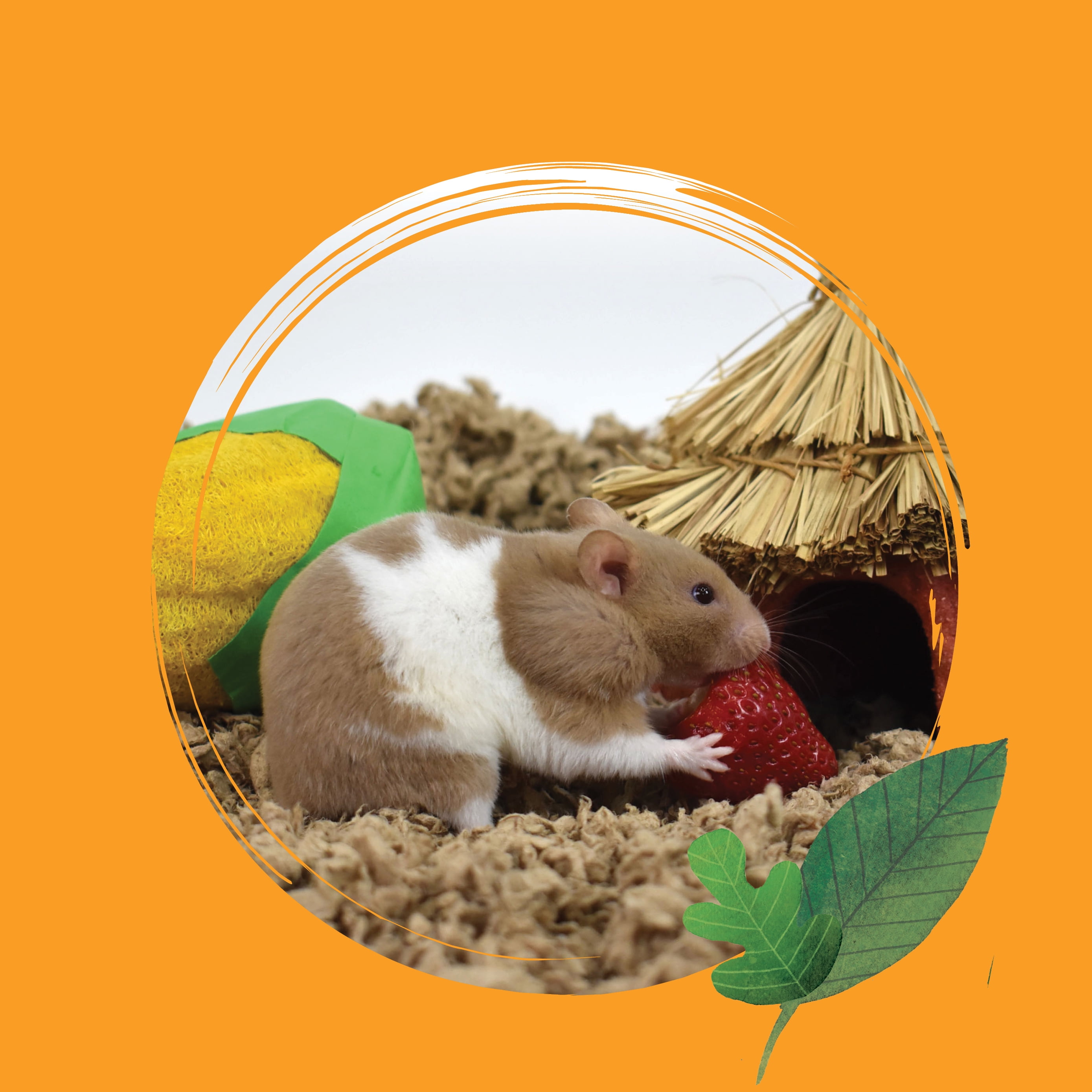 Crittercare Natural Paper Small Pet Bedding 14 L Walmart