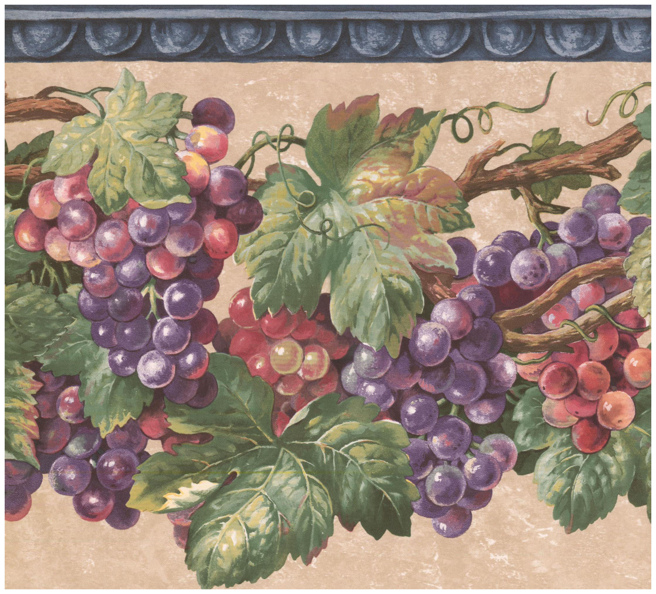 Prepasted Wallpaper Border Purple Pink Yellow Grapes On Vine