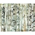 thumbnail image 3 of Saunders, Alonzo 18x15 Black Modern Framed Museum Art Print Titled - Birch Bunch I, 3 of 5