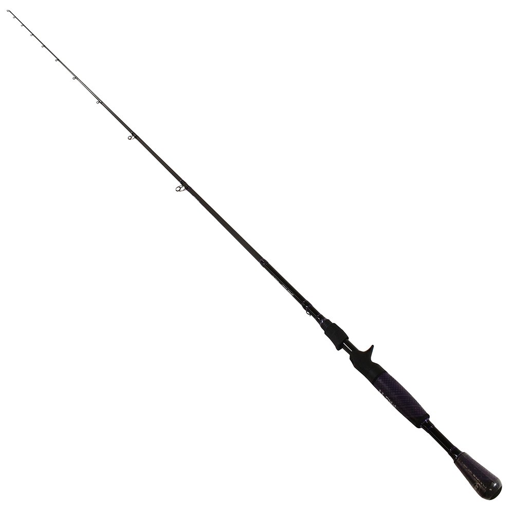 Lews ProTi Casting Fishing Rod