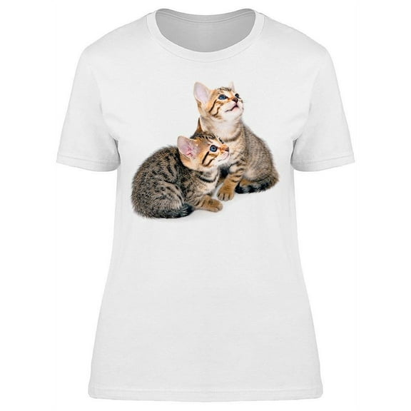 Kittens Looking Up T-Shirt Women -Image by Shutterstock, Female Medium